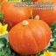 Тыква Ольга - крупноплодная (УД) 6 шт цв.п 0